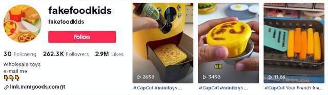 视频播放超三千万国内这款儿童玩具在TikTok上拿捏了大批成年人(图9)